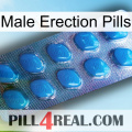 Male Erection Pills viagra1